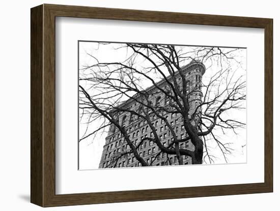 Flatiron with Tree-Erin Clark-Framed Giclee Print