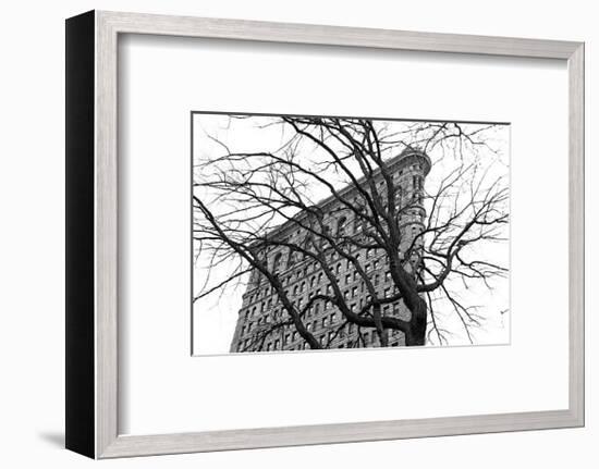 Flatiron with Tree-Erin Clark-Framed Giclee Print