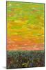Flatland Sunset looking East-James W. Johnson-Mounted Giclee Print