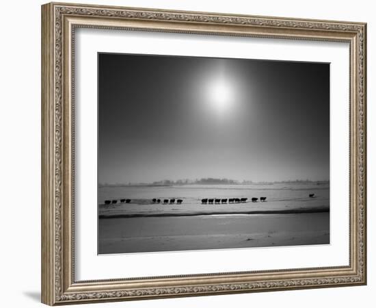 Flatlands, no. 6-Ruud Peters-Framed Photographic Print