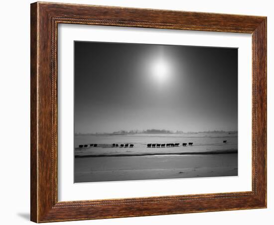 Flatlands, no. 6-Ruud Peters-Framed Photographic Print