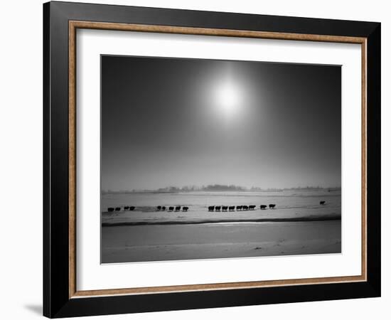 Flatlands, no. 6-Ruud Peters-Framed Photographic Print