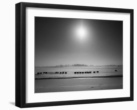 Flatlands, no. 6-Ruud Peters-Framed Photographic Print