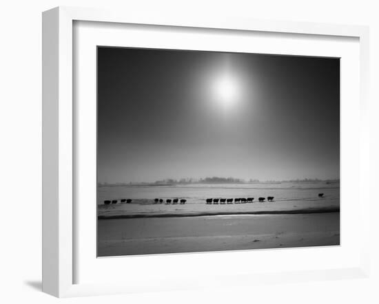 Flatlands, no. 6-Ruud Peters-Framed Photographic Print