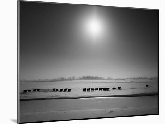 Flatlands, no. 6-Ruud Peters-Mounted Photographic Print