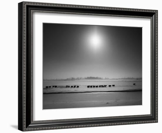 Flatlands, no. 6-Ruud Peters-Framed Photographic Print