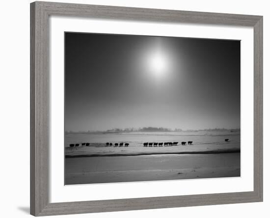 Flatlands, no. 6-Ruud Peters-Framed Photographic Print