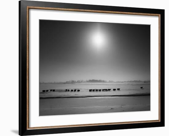 Flatlands, no. 6-Ruud Peters-Framed Photographic Print