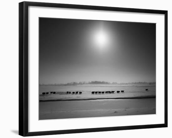 Flatlands, no. 6-Ruud Peters-Framed Photographic Print