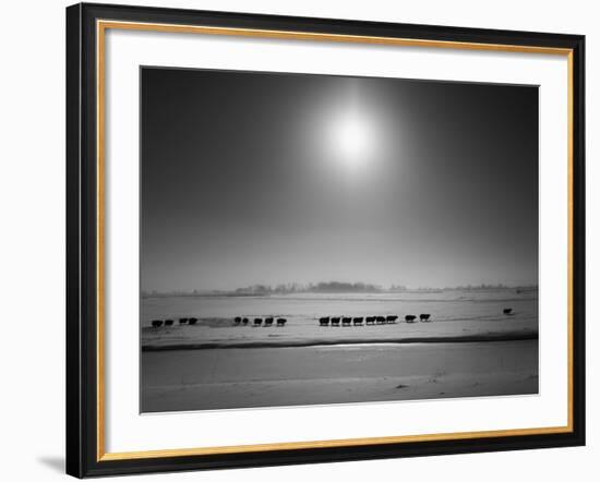 Flatlands, no. 6-Ruud Peters-Framed Photographic Print