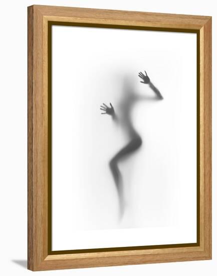 Flattened-Shadow-Framed Stretched Canvas