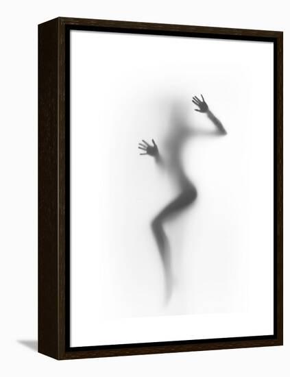 Flattened-Shadow-Framed Stretched Canvas