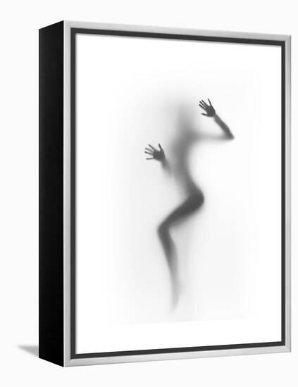 Flattened-Shadow-Framed Stretched Canvas