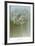 Flaura I-W^ Blake-Framed Art Print