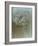 Flaura I-W^ Blake-Framed Giclee Print