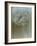 Flaura I-W^ Blake-Framed Giclee Print