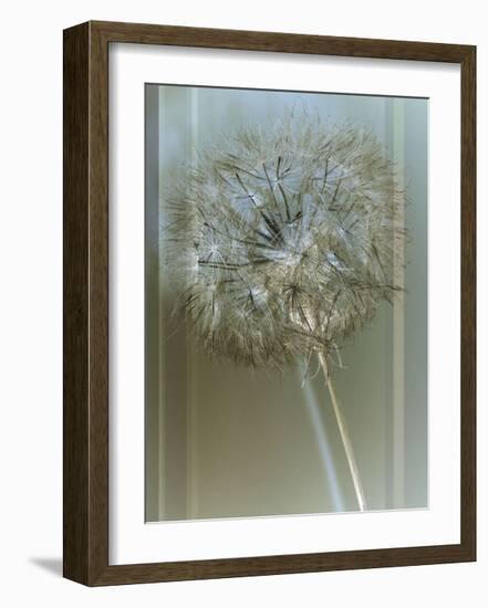 Flaura I-W^ Blake-Framed Giclee Print