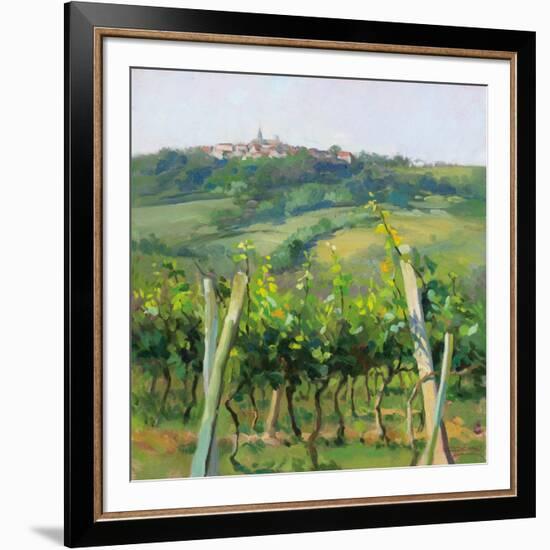 Flauvigny View-Christine Debrosky-Framed Art Print