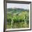 Flauvigny View-Christine Debrosky-Framed Art Print