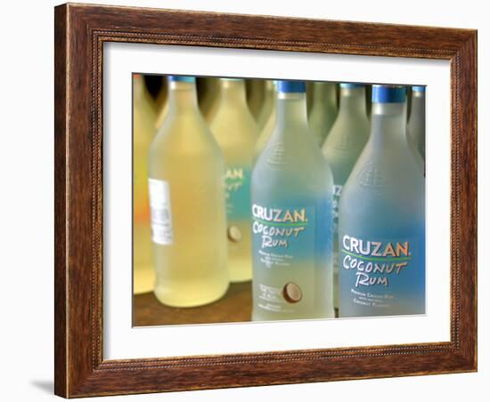 Flavored Cruzan Rum, Charlotte Amalie, St. Thomas, Us Virgin Islands, Caribbean-Cindy Miller Hopkins-Framed Photographic Print