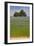 Flax Field and Lime Tree-null-Framed Photographic Print