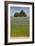 Flax Field and Lime Tree-null-Framed Photographic Print