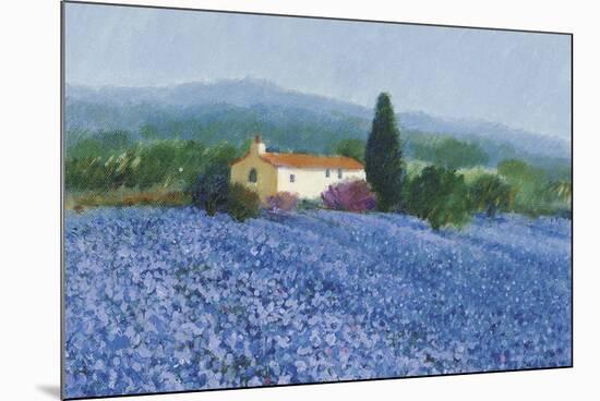 Flax Field, Provence-Hazel Barker-Mounted Giclee Print