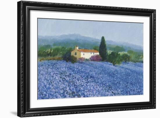 Flax Field, Provence-Hazel Barker-Framed Giclee Print