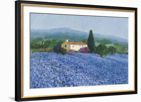 Flax Field, Provence-Hazel Barker-Framed Giclee Print