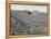 Flax Fields in Imperial Valley, Harvesting-Dmitri Kessel-Framed Premier Image Canvas