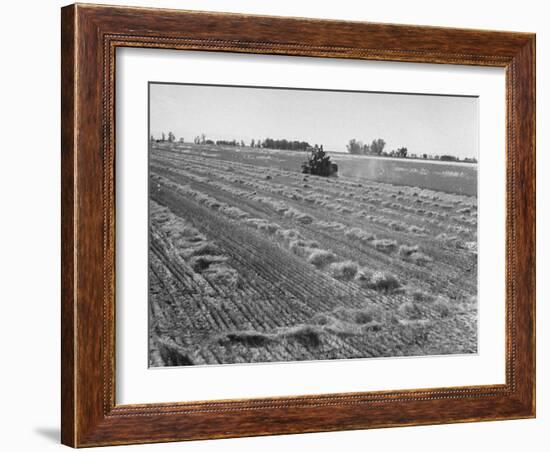 Flax Fields in Imperial Valley, Harvesting-Dmitri Kessel-Framed Photographic Print