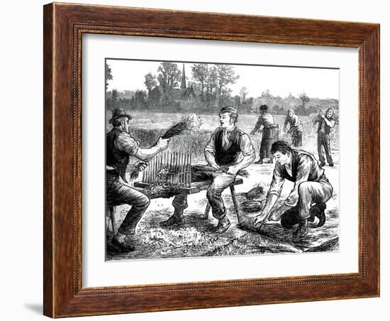 Flax Rippling, C1880-null-Framed Giclee Print