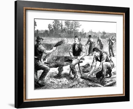 Flax Rippling, C1880-null-Framed Giclee Print