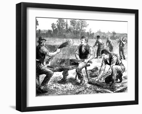 Flax Rippling, C1880-null-Framed Giclee Print