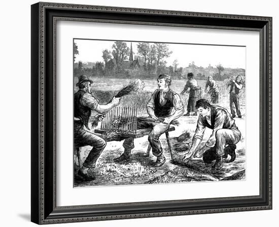 Flax Rippling, C1880-null-Framed Giclee Print