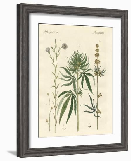 Flaxs and Hemps-null-Framed Giclee Print