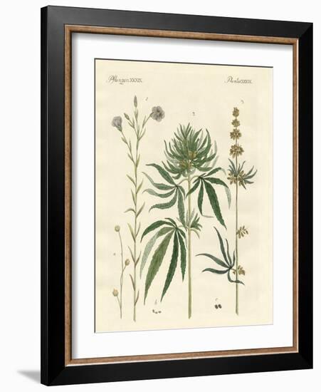 Flaxs and Hemps-null-Framed Giclee Print