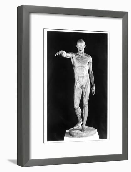 Flayed Body-Jean-Antoine Houdon-Framed Giclee Print