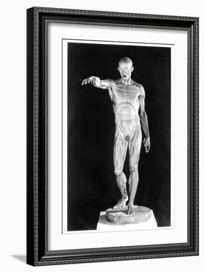 Flayed Body-Jean-Antoine Houdon-Framed Giclee Print