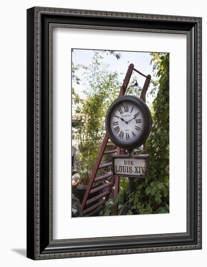 Flea market in L'Isle-sur-la-Sorgue, an antique village in Provence, France-Andrea Haase-Framed Photographic Print