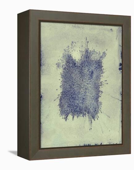 Fleck-Petr Strnad-Framed Premier Image Canvas