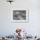 Fledgling Pilot of the Women's Flying Training Detachment Soloing in Her Pt 19 Army Trainer-Peter Stackpole-Framed Photographic Print displayed on a wall