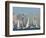 Fleet of Sailboats and Skyline of San Diego, California, Usa-Bill Bachmann-Framed Photographic Print