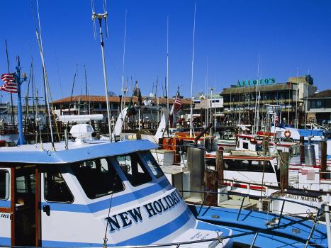 Fleet of Small Fishing Boats Around Pier 39, Fisherman's Wharf