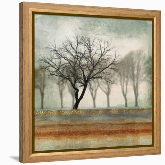 Fleeting-Andrew Michaels-Framed Stretched Canvas