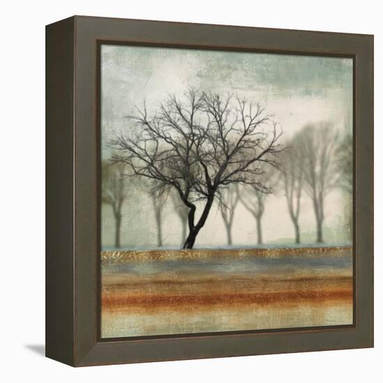 Fleeting-Andrew Michaels-Framed Stretched Canvas