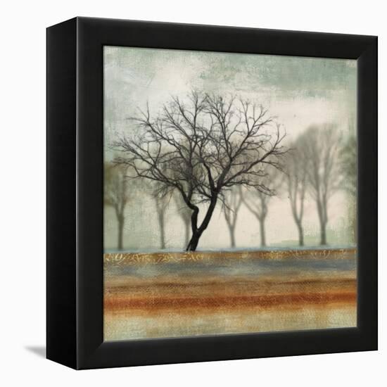 Fleeting-Andrew Michaels-Framed Stretched Canvas