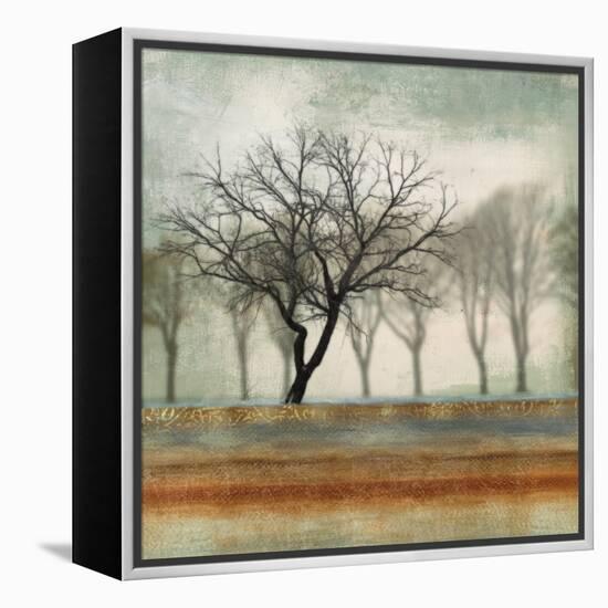 Fleeting-Andrew Michaels-Framed Stretched Canvas