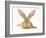 Flemish Giant Rabbit with Ears Erect-Mark Taylor-Framed Photographic Print