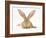 Flemish Giant Rabbit with Ears Erect-Mark Taylor-Framed Photographic Print